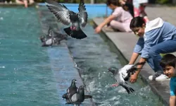 Türkiye kavruluyor: Sıcaklıklar normallerin üzerinde olacak