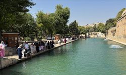 Şanlıurfa 'cehennem'i yaşıyor: Termometreler 55 dereceyi gördü, sokaklar boşaldı!