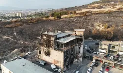 İzmir'de orman yangını sonrası yürek burkan manzara!