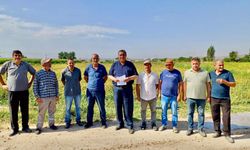 Tarımda güvencesizlik derinleşiyor