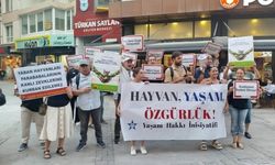 Yaşam Hakkı İnsiyatifi: Yaban hayat satılık değildir