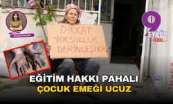 Eğitim hakkı pahalı: Çocuk emeği ucuz