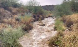 ABD'nin Arizona eyaletinde sel: 4 kişi yaşamını yitirdi
