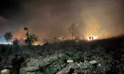 Ege'nin cenneti bir gecede cehenneme döndü: Muğla’da 7 yangın paniği