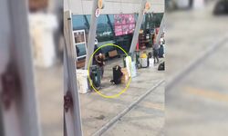 Otogarda babasının tüfekle vurduğu kadın ağır yaralandı