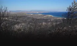 İzmir’deki orman yangınında 3 kişi hayatını kaybetmişti... Davada karar açıklandı