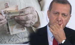 Emeklilere soruldu! Cumhurbaşkanı Erdoğan'ı endişelendirecek anket