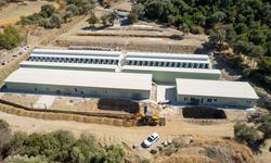 İzmir’de patili dostlara modern yuva: Yeni yaşam merkezi açılıyor