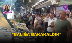 "Balığa bakakaldık"