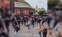 Bedava tavuk dağıtımı izdihama yol açtı!