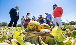 İzmir’de özel işaretli tarım ürünleri dönemi başladı