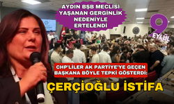 Aydın Meclis Toplantısı Gerginlik Sebebiyle Erteldi