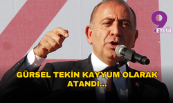 CHP İstanbul İl Başkanlığı’na Gürsel Tekin kayyum atandı: "Partiyi sahipsiz bırakacak değilim"