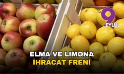 Limon ve elmaya ihracat freni
