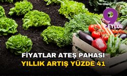 Tarımda fiyatlar ateş pahası: Yıllık artış yüzde 41,55'i buldu