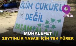 Muhalefet 'zeytinlik yasası' için tek yürek