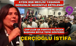 Aydın Meclis Toplantısı Gerginlik Sebebiyle Erteldi