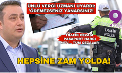 Ünlü vergi uzmanı uyardı: 'Ödemezseniz yanarsınız! Hepsine zam yolda!