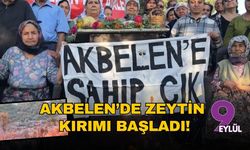 Akbelen’de zeytin kırımı başladı