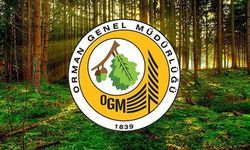Orman Genel Müdürlüğü daimi işçi alacak