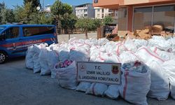 İzmir Torbalı'da 5 milyon liralık sahte 'Crocs' operasyonu: Jandarma depoyu bastı