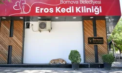 İzmir’de Eros Kedi Kliniği hayvanseverlerin yeni adresi oldu