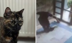 "Cezve"nin katiline indirimsiz hapis cezası: Mahkeme, can düşmanına acımadı