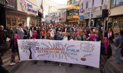 Zeytinin gölgesinde 20 yıllık bereket buluşması: Ayvalık Uluslararası Zeytin Hasat ve Turizm Festivali başladı