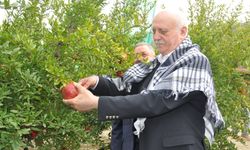 TZOB Genel Başkanı Bayraktar, İzmir'de incelemelerde bulundu