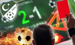 Ne kadar ceza alacaklar?