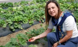 Atatürk’ün üretim anlayışıyla hayata geçirilen proje: Efes Tarlası Yaşam Köyü dikkat çekti