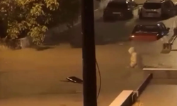 İzmir ve Manisa’da sağanak yağış hayatı felç etti