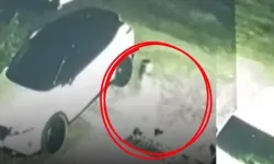 İzmir’de 13 yaşındaki kız çocuğu kayboldu: AFAD ve jandarma seferber oldu