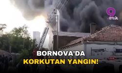 İzmir'de korkutan yangın: Bornova'da plastik deposu alev alev yandı