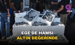 Ege'de hamsi altın değerinde: İhracat patladı, tezgahta fiyatı 300 TL'yi gördü