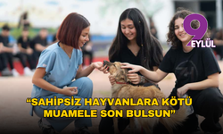 4 Ekim Dünya Hayvanları Koruma Günü: Sahipsiz hayvanlara kötü muamele son bulsun