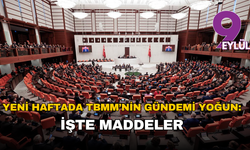Yeni haftada TBMM’nin gündemi yoğun: İşte maddeler