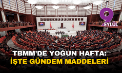 TBMM'de yoğun hafta: İşte gündem maddeleri
