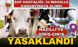 Aydın'da şap hastalığı: 34 mahalle karantinaya alındı