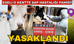 Aydın'da şap hastalığı: 34 mahalle karantinaya alındı