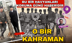 Grey sadece bir köpek değildi, İzmir'e giren bir kahramandı