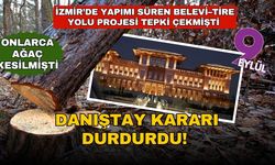 Danıştay, Cumhurbaşkanlığı kararını durdurdu! Onlarca ağaç kesilmişti