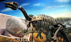 Milyonlarca yıllık dinozor yumurtası sapasağlam bulundu!