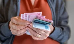 Kamu sektöründe en yüksek maaş alan meslekler belli oldu!
