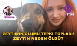 Zeytin’in ölümü tepki topladı! Zeytin neden öldü?