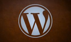 WordPress güvenlik eklentisinde kritik açık: 100 bin site risk altında