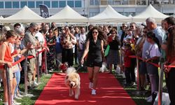 Konak'ta Patilerin Festivali 6. kez İzmirlilerle buluşuyor
