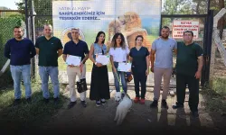 Efes Selçuk'ta yürekleri ısıtan çağrı: Satın alma, sahiplen