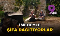 Kozak Yaylası'nın şifalı hazinesi: Kadınların imece usulüyle yaptığı çam kozalağı pekmezi Türkiye'ye yayılıyor