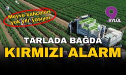 Tarlada, bağda, bahçede kırmızı alarm: Meyve bahçeleri 'yok yılı' yaşıyor